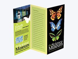 Catalog / Brochure